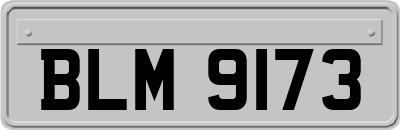 BLM9173