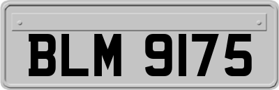 BLM9175