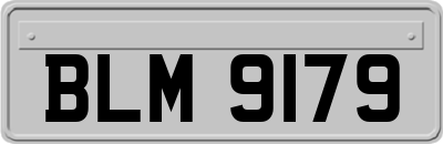 BLM9179