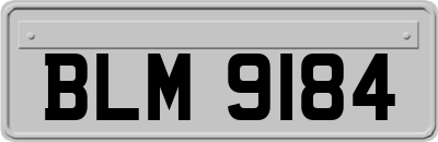 BLM9184