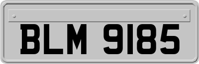 BLM9185