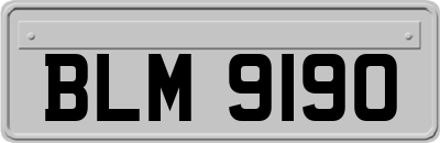 BLM9190