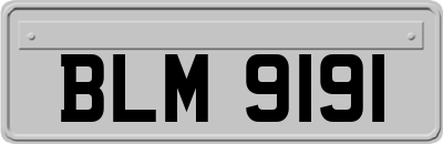 BLM9191