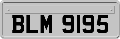 BLM9195