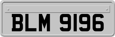 BLM9196