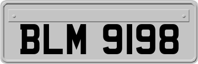 BLM9198