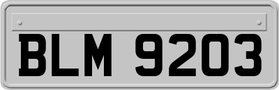 BLM9203