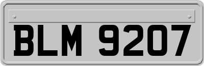BLM9207