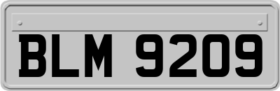 BLM9209