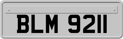 BLM9211
