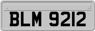 BLM9212