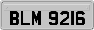 BLM9216