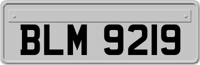 BLM9219