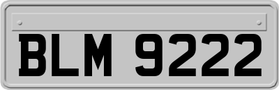 BLM9222