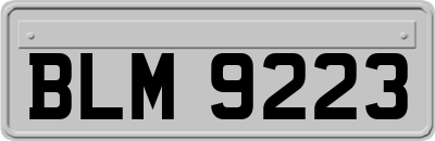 BLM9223