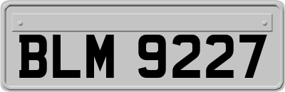 BLM9227