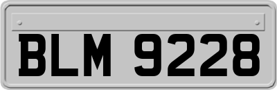 BLM9228