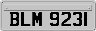 BLM9231