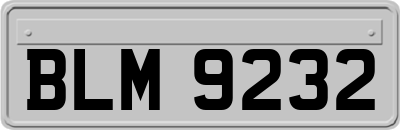 BLM9232