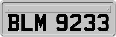 BLM9233