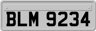 BLM9234