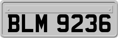BLM9236