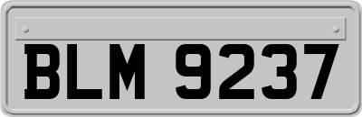BLM9237