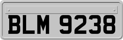 BLM9238