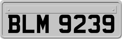 BLM9239