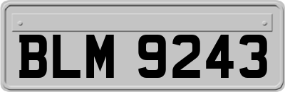 BLM9243