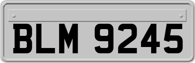 BLM9245