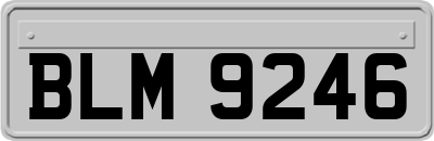 BLM9246