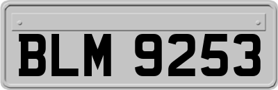 BLM9253