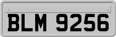 BLM9256