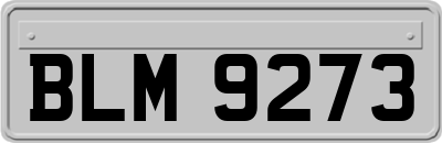 BLM9273