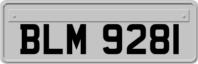 BLM9281