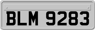 BLM9283