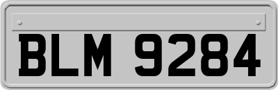 BLM9284