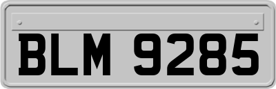 BLM9285