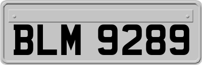 BLM9289