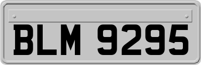BLM9295