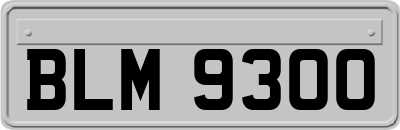BLM9300