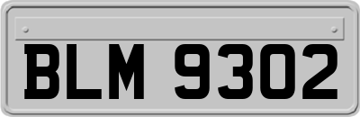 BLM9302
