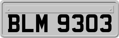 BLM9303