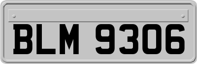 BLM9306
