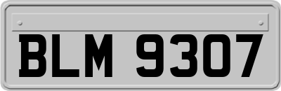 BLM9307