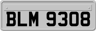 BLM9308