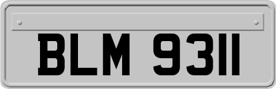 BLM9311