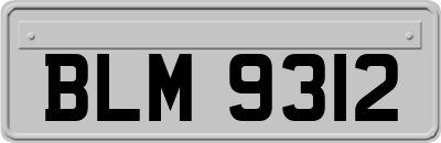 BLM9312