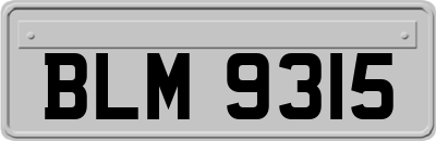 BLM9315